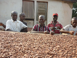 Cocoa farmers that work with Unilever and supplier Barry Callebaut on sustainable cocoa
