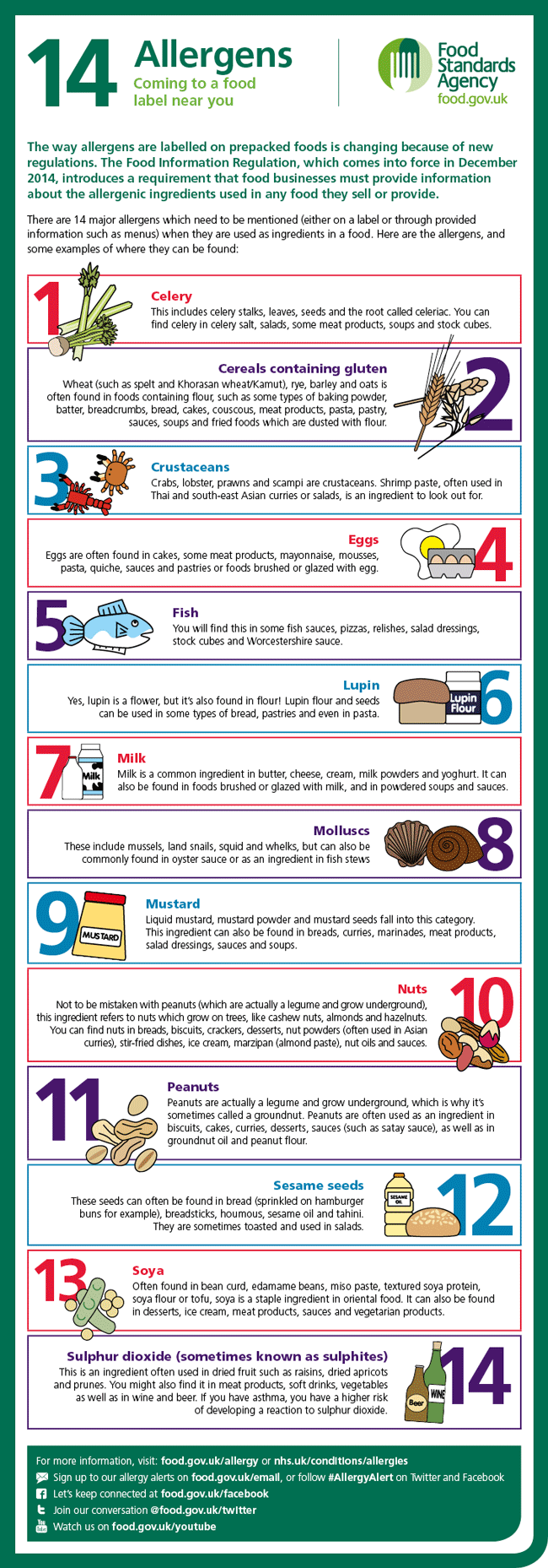 FSA food allergens