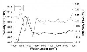 Figure 6 Loading intensity on PC1 and PC2 by wavenumbers (1800 – 830cm-1)