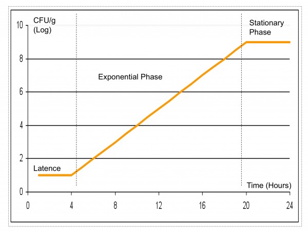 Figure 1 Microbial growth – different phases