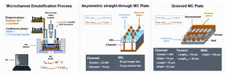 Figure 1: Schematic drawings of the microchannel emulsification (MC) process and the droplet generation through a straight-through MC array and grooved MC array