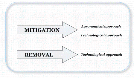 Figure 1: Strategies to reduce acrylamide levels in food