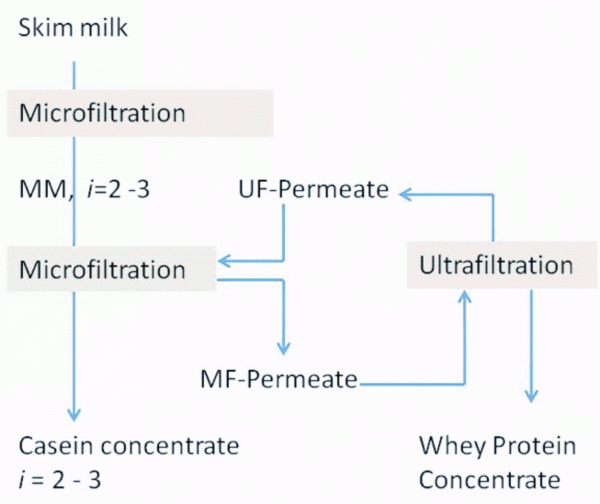 FIGURE 3Scheme of milk protein membrane processing11