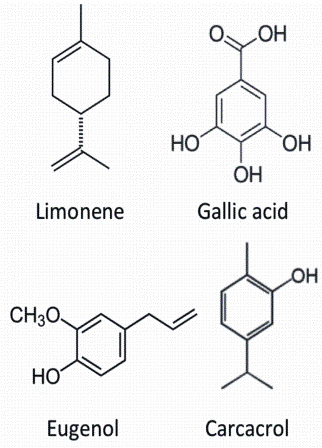 FIGURE 1 Chemical structure of some lipophilic food additive