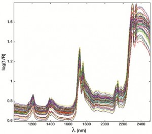 Figure 1 NIR spectra of 57 olive oil samples from Sabina PDO and from other geographical origins