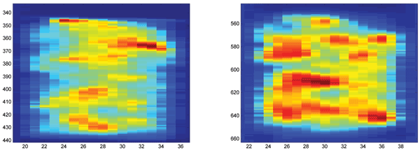 Figure 1 Average NIR (left) and VIS (right) images of the same sample of potato crisps