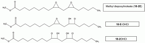 Figure 2 Main chlorohydrins (as fatty acid methyl esters, isomers not considered) that can be formed from