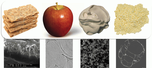 Figure 2 InsideFood considers foods with high importance to the European market and consumer, from left to right: crispy bread, apple, foam, breakfast cereals. Diagrams underneath the pictures are 2D pictures of the microstructure of the foods, highlighting the complex food structure that is essential three-dimensional with nano and microscale features.