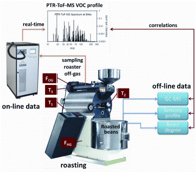 Figure 2: Schematic representation of the experimental strategy to establish an on-line process control for coffee roasting that achieves a consistent roast degree, roast after roast. For each roasting cycle, a series of on- and off-line measurements are performed. The on-line measured values include three temperature profiles; (i) the temperature of the heating gas entering the roasting, (ii) the off-gas temperature and (iii) the temperature inside the roaster. Two flow meters also measure the flow of the heating gas entering the roaster and the off-gas flow. Furthermore, the off-gas of the roaster was measured on-line by PTR-ToF-MS. At the end of each roasting cycle, the GC-MS and sensory profiles of the extracts and the roast degree were measured off-line. Combining on- with off-line date yielded a comprehensive characterisation of each roasting process, and allowed establishing a process control tool for the coffee roasting, as explained in the text