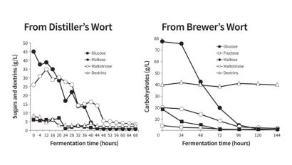 Figure 3: Order of sugar uptake – distiller’s and brewer’s wort