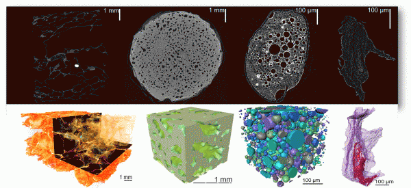 Figure 3 3-D food microstructure visualised with micro and nano-CT, from left to right: crispy bread, apple, foam, breakfast cereals. Upper pictures are 2-D reconstructed virtual slices, lower pictures are 3-D reconstructions of the micro- and nanostructure. Images were acquired with Skyscan 1172 (1-5 μm pixel resolution) and Skyscan 2011 nano-CT (0.5 μm pixel resolution). Copyright: K.U.Leuven & Skyscan, Belgium & VSG, France