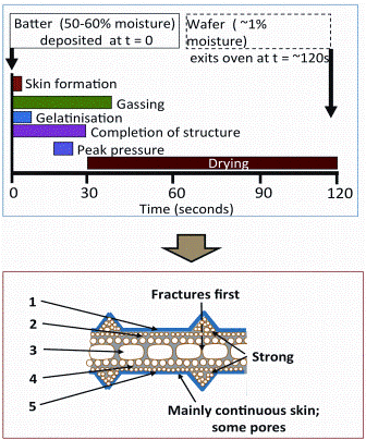 Figure 5: Time-scale of baking process to develop a five-layer wafer structure(5)