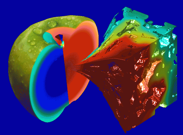 Figure 7 Multiscale calculation of the gas diffusion in an apple based on the apple microstructure. In the apple cross section, the distribution of oxygen (left, low concentration in the centre) and carbon dioxide (right, high in the centre) is plotted. These macroscopic profiles are the result of calculations on the microscale and are determined by the microstructural configuration of the cells (outset). Copyright: K.U.Leuven, Belgium