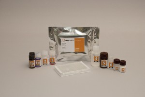 GeneQuence® Campylobacter GeneQuence® Campylobacter