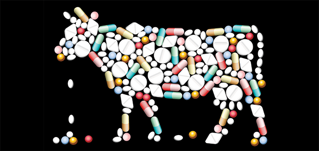 Agilent Technologies veterinary drugs webinar