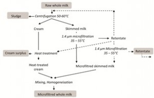 Figure 3 Schematic representation of process for microfiltration of skimmed milk. Dotted lines represent options for