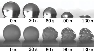 Figure 2: Time series of droplets drying comprising water only (top) and 20 w/w% maltodextrin DE6 (bottom)
