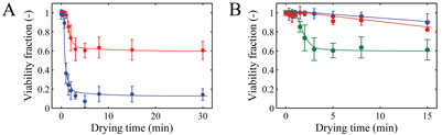 Figure 5: A) Viability fractions after single droplet drying at air temperatures of 25 (red) and 70°C (blue). B) Viability fractions after drying with different formulations of glucose (blue), trehalose (red), and maltodextrin DE6 (green) dried at 25°C. Initial dry matter was 20% w/w and initial droplet size was 600 μm. The error bars indicate the standard deviation and the solid lines are drawn to guide the eye