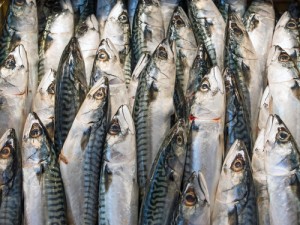 New safety test developed to detect histamine in fish