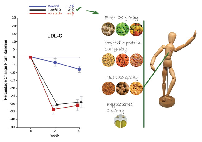 Figure 1: Comparison between the effects of a portfolio diet and those of statin treatment on LDL-cholesterol as an example of combining foods as an effective dietary strategy to face a given risk factor. Adapted from Jenkins et al.2