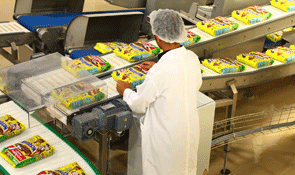 Processing cereal in factory