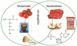 Foods that are high in savoury character containing high levels of either glutamate or nucleotides. A combination