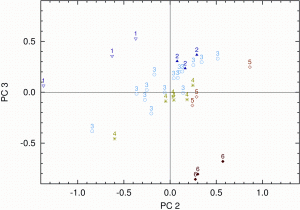 Figure 4: Score values related to fat content for the EMSC pre-treated spectra on PC2 and PC3. Numbers and colours identify samples according to their fat content (1: 31.8, 2: 36.0 to 36.9, 3: 37.3 to 37.4, 4: 38.5 to 40.4, 5: 42.6, 6: 46.5 per cent)