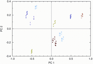 Figure 5: Score values related to water content for the EMSC pre-treated spectra on PC1 and PC2. Numbers and colours identify samples according to their water content (1: 0.47, 2: 0.65, 3: 0.71, 4: 0.8 to 0.92, 5: 1.12, 6: 1.31 per cent)