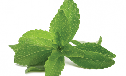 The growth of the Stevia industry is accelerating