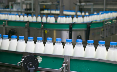 UK dairy industry