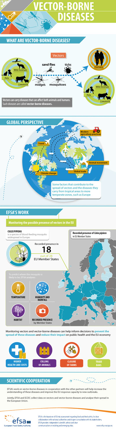 Vector Borne infographic