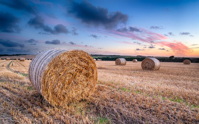 agricultural innovation