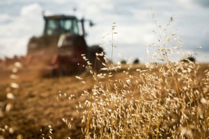 agricultural-outlook