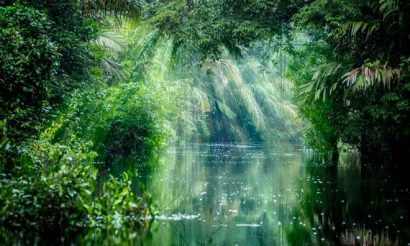 biodiversity-lund-smallscale-agriculture