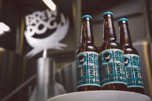 brewdog