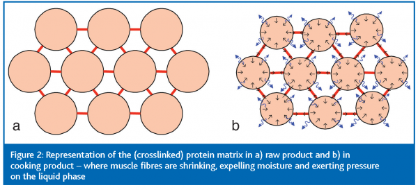 broeze figure 2