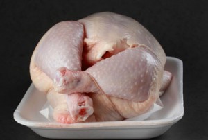 campylobacter