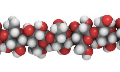 cellulose-fat-salt-sugars