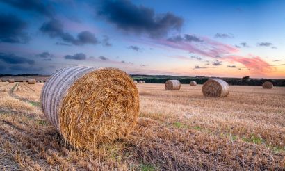 chris-elliott-agriculture-city-food-lecture