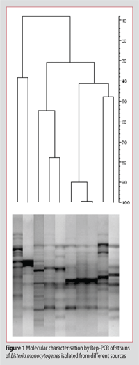 cocolin figure 1