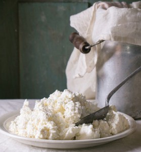 cottage-cheese