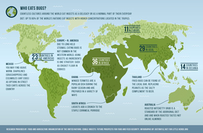 edible insects