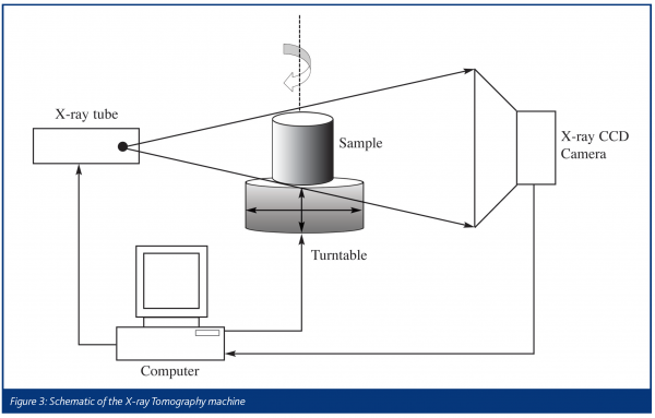 edmondson figure 3