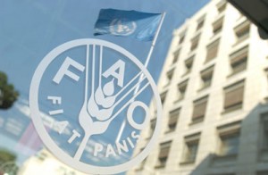 fao nepal