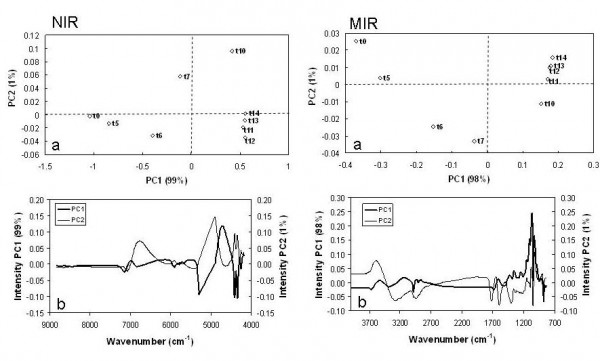 FIGURE 2 Principal Component Analysis on NIR and MIR spectra: score plot (a) and loading plot (b) of a micro-fermentation trial in the plane defined by the first two principal components