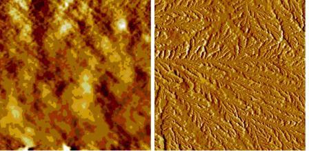 Figure 2 Representative images from AFM analysis of polyethylene film (20x20 μm2) before (panel A) and after (panel B) a coating treatment with a bacteriocin solution