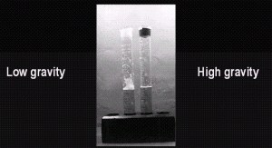 Figure 3 Beer foam collapse characteristics four minutes after pouring – beers produced with low (10°Plato) and high (20°Plato) gravity worts