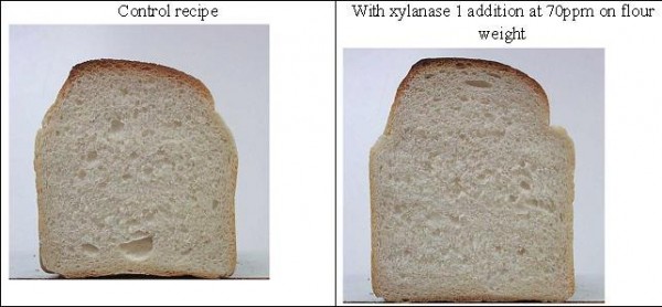 Figure 4 Improvement in loaf volume and crumb structure with xylanase addition