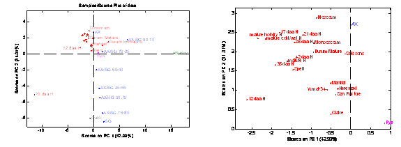 Figure 4 PCA for the 1H NMR spectra of cell wall extracts for several varieties of wheat, cv. Hereward (H) at various stages of development and environmental conditions. Spectra of other cereals such as rye, barley and oats and a series of AX and β-glucan (BG) standards which vary in proportions of the two non-starch polysaccharides are also included to highlight the compositional differences between the various cereals. Wheat at 10 dpa differs remarkably from other stages of development due to a different AX structure