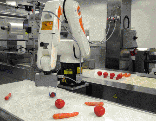 Figure 5 Robot station during flexible production. Variable and fragile products arrive mixed to the robot and are individually handled and placed according to the layout designed in the GUI